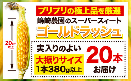 朝採りとうもろこし スーパースィート 「ゴールドラッシュ」 特大サイズ 20本(1本380g以上) Lサイズ 《8月中旬-9月中旬頃より順次出荷》嶋崎農園 送料無料 北海道 本別町北海道 十勝 本別町