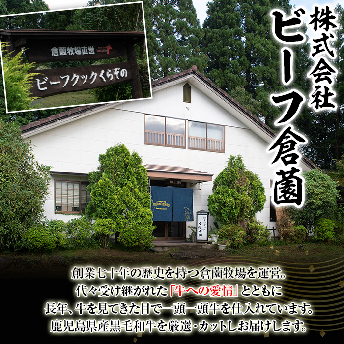 鹿児島県産黒毛和牛・濃厚ヒレ サイコロステーキ用 計500g(250g×2パック) 【ビーフ倉薗】B173