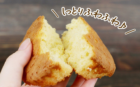 マドレーヌ ブラッドオレンジ 8個 寿提夢 洋菓子 おやつ 焼き菓子 ギフト 贈り物 人気 厳選 おすすめ マドレーヌ J010-097003