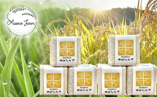 7-020-016　新米・真空パックキューブ米＜無洗米＞ ゆめぴりか 1.8kg（10月～発送）【前野ファーム】