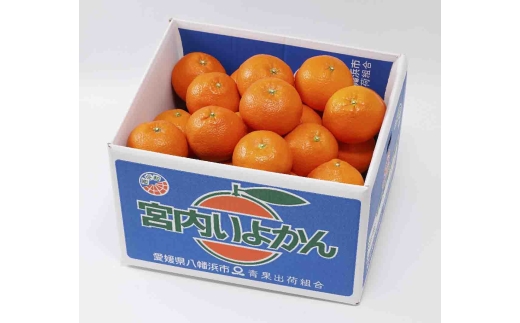 ＜爽やか香りと柔らかジューシーな果肉＞愛媛八幡浜産 宮内伊予柑 10kg＜D20-6＞【1094591】 YWTI006