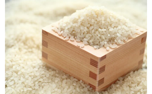 
いくさかのお米 10kg 白米 こしひかり コシヒカリ 米
