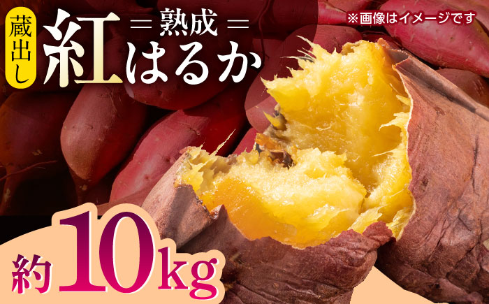 【数量限定】【先行予約】蔵出し 熟成 紅はるか さつまいも 約10kg サイズバラバラ 密 芋 【合同会社 福福堂】 [ZCN019]