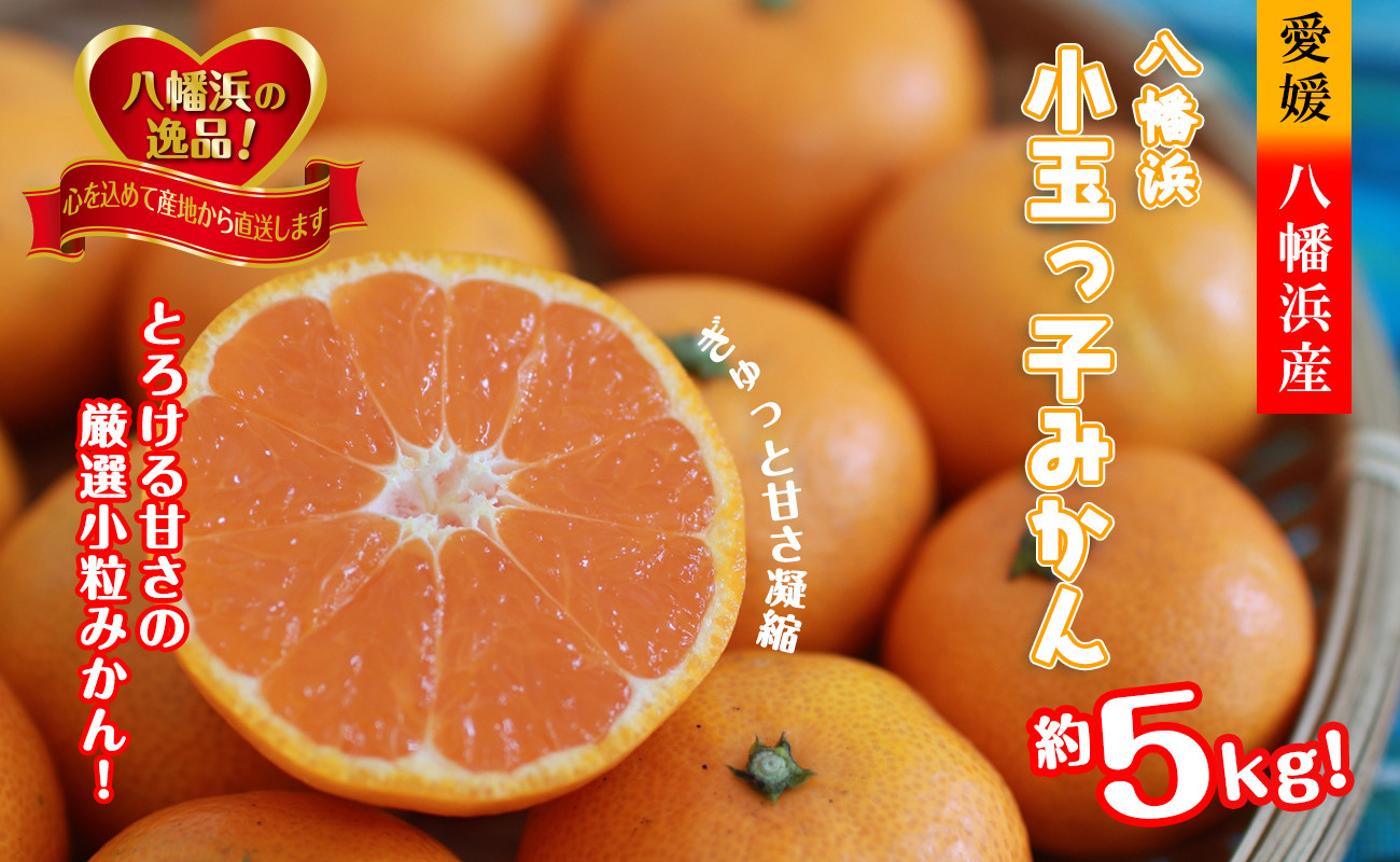 
            2024年11月発送開始　小粒・濃厚な味わい!!「八幡浜小玉っ子みかん」約5.5kg＜C39-59＞_ みかん ミカン 柑橘 温州 果物 くだもの フルーツ 旬 愛媛 コク 甘み 国産 産直 産地直送 小玉 【1512462】
          