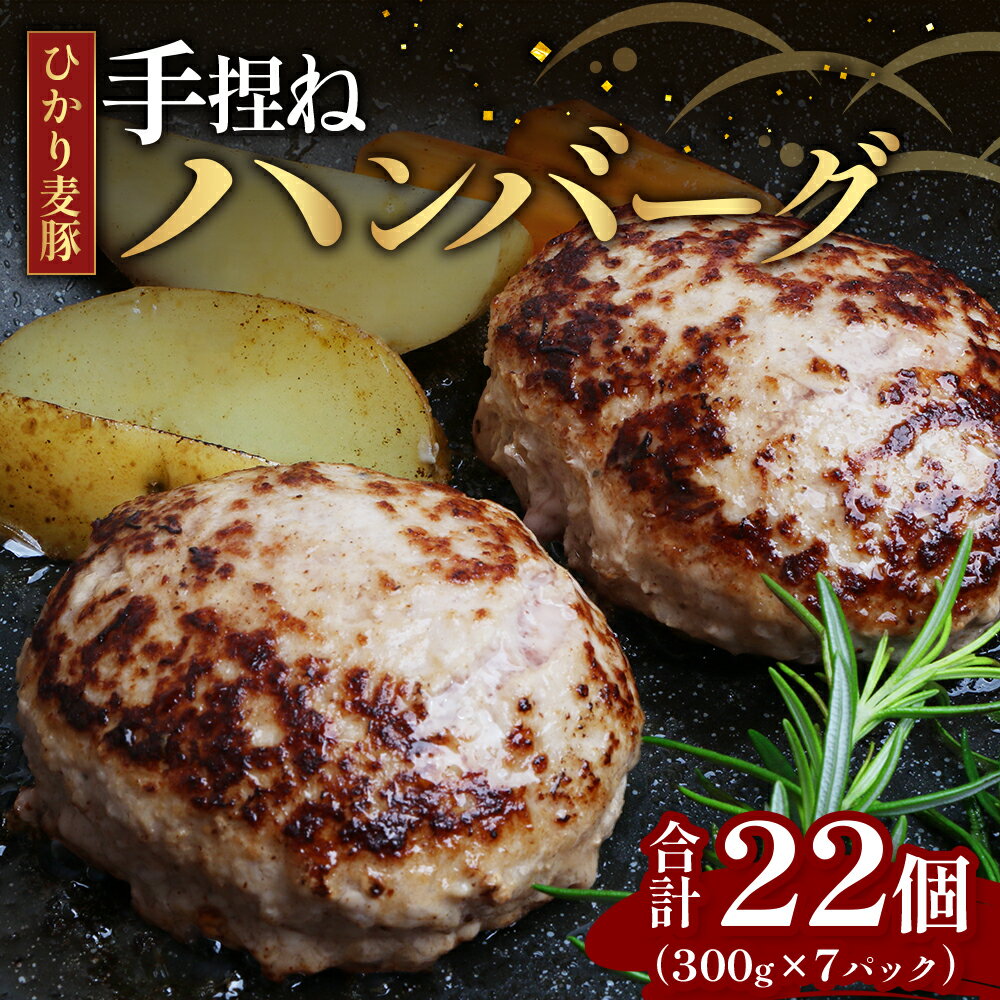 【ふるさと納税】ひかり麦豚　ハンバーグセット サイズ違い 22個 ( 300g × 7パック )