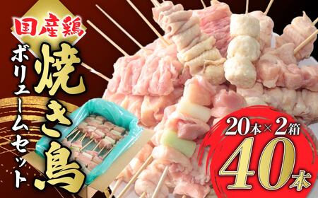 鶏肉 焼き鳥 ボリュームセット 40本 国産鶏肉 焼き鳥