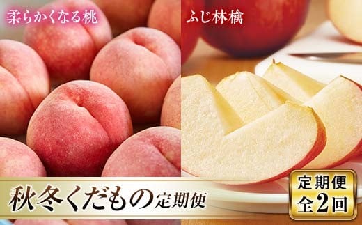 《先行予約 2026年発送》秋冬定期便～もも・りんご～  もも モモ 桃 デザート フルーツ 果物 くだもの 果実 食品 山形県 FSY-2452