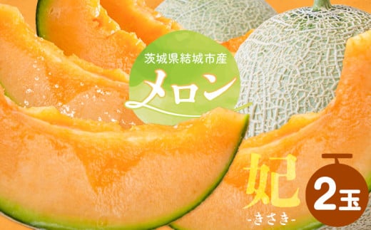 【令和7年先行予約】 茨城県結城市産 メロン 妃 2玉 稲葉ファーム《9月下旬-10月中旬頃出荷予定》茨城県 結城市 送料無料 フルーツ 果物 高級メロン お取り寄せ 旬 産地直送 贈り物 お取り寄せフルーツ