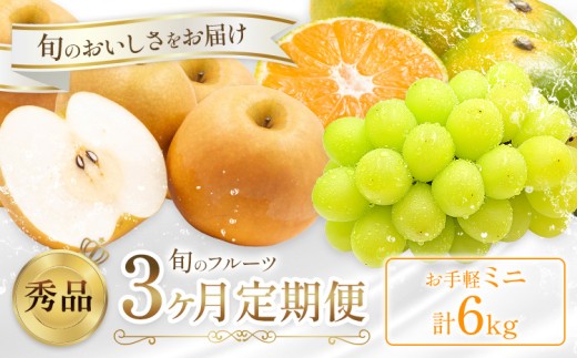 旬の フルーツ 定期便 3ヶ月連続 秀品 ミニ 計6kg  日本フルーツ株式会社《8月上旬-10月末頃出荷》熊本県 荒尾市 シャインマスカット おまかせ 梨 極早生みかん 果物 フルーツ スイーツ デザート ギフト ご贈答