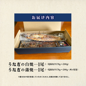 うなぎの白焼・蒲焼セット（特大サイズ 一尾 170g～200g）_国産 うなぎ 白焼 蒲焼 セット 特大 一尾 170g～200gずつ 食べ比べ 濃厚 甘み タレ グルメ 食品 加工品 魚 魚介類 お
