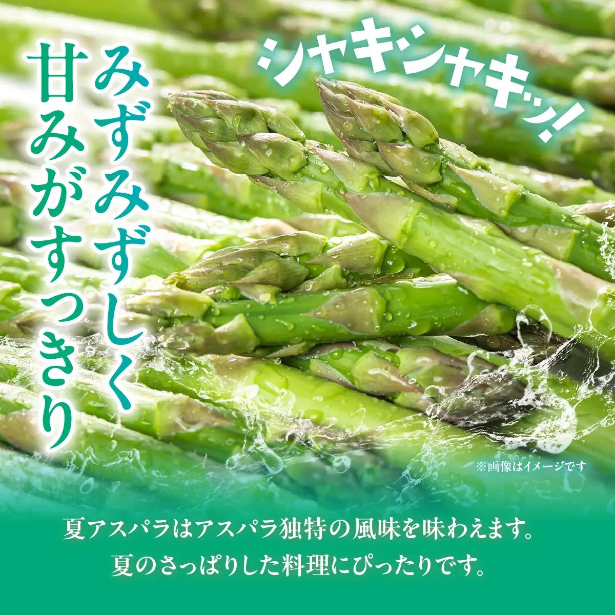 夏アスパラ2Lサイズ 約900g（150g×6袋入） MKWM004 