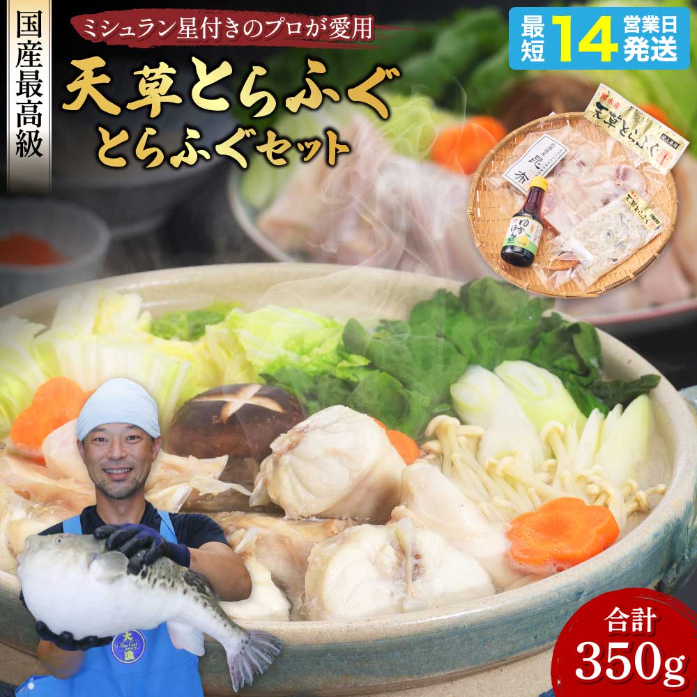 【ふるさと納税】ふぐの王様 とらふぐ 国内最高級 天草とらふぐセット 合計350g ゆずポン酢・出汁用昆布付き フグ身 アラ フグ ふぐ 皮 てっちりひれ酒用 焼きひれ 海鮮 魚介類 鍋 冷凍 熊本県産 国産 送料無料 株式会社天草海産