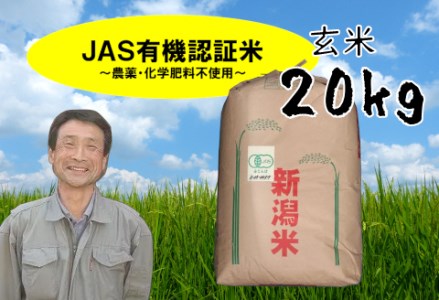 【令和6年産新米予約】JAS有機認証米 コシヒカリ 玄米 20kg 10月上旬より順次発送予定  精米も可 1G09051