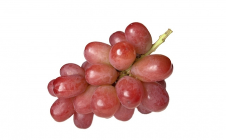 【2026年先行予約】クイーンルージュ® 約1kg|クイーンルージュ ぶどう