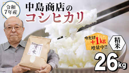 令和8年産 茨城県産 精米 コシヒカリ 26kg（26kg×1袋）