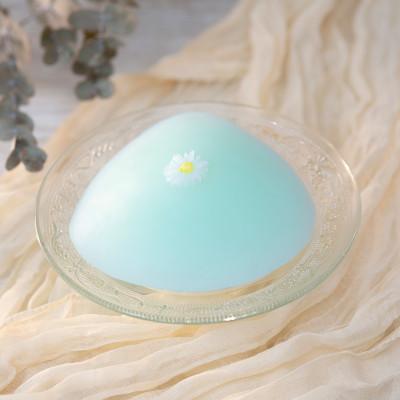 ふるさと納税 朝霞市 人工乳房 マーガレットパッド・Lサイズ