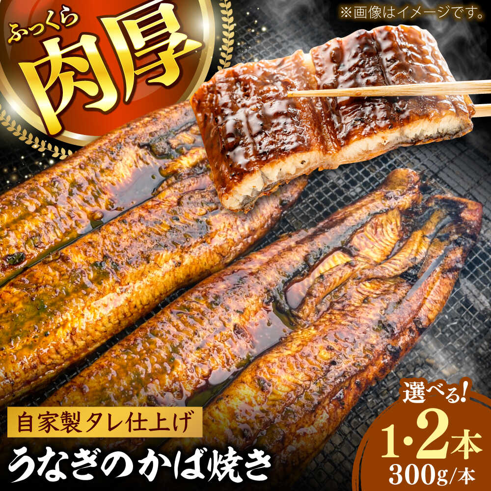 【ふるさと納税】【選べる本数】鰻のかば焼き(1本～2本） 鰻 うなぎ ウナギ かば焼き 土用の丑の日 小分け 惣菜 人気 おすすめ 島根県雲南市/有限会社田丸屋魚店[AIEH004]