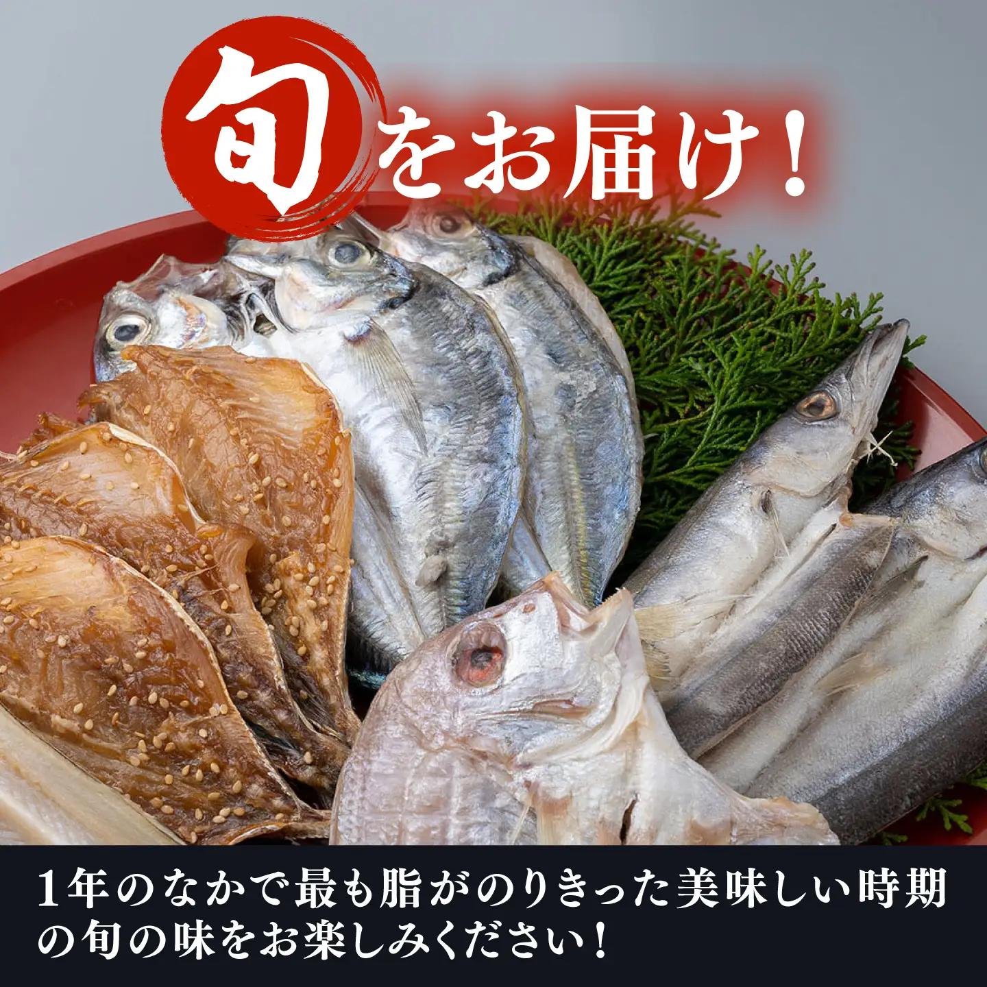 【1週間以内発送】対馬 一汐干し お魚 セット 5種10枚 [WAI006] アジ 穴子 カマス 連子鯛 干物 スピード発送 最速発送 最短発送