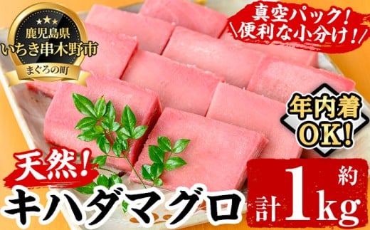 天然!  キハダマグロ 真空 冷凍  100g×7-10柵  合計約1kg を 便利 な 小分け 柵 でお届け! まぐろ 刺身  きはだまぐろ 赤身【海鮮まぐろ家】 【B-347H】