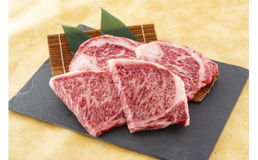 A5／A4 博多和牛サーロインステーキ 3～4人前 約500g