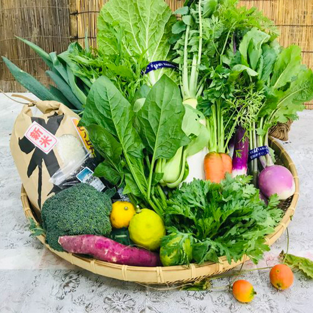 【ふるさと納税】[野菜とお米10kgセット] 産地直送！新鮮とれたて旬の野菜＆ヒノヒカリ10kg ｜野菜セット 米10kg ヒノヒカリ 産地直送 奈良県 [3250]