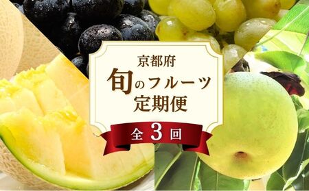 【先行予約】2026年産 全3回 フルーツの定期便 琴引メロン 二十世紀梨 ぶどう2種食べ比べ フルーツ