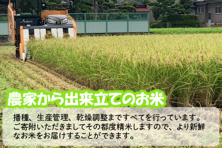 【令和7年産・新米】 おおかわさんちの華越前 10kg 精米 [C-10803]