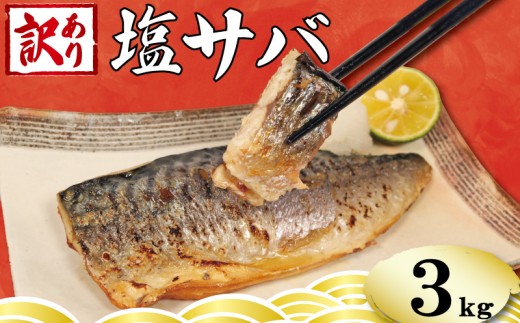 訳あり 塩さば フィーレ 約3kg 鯖 さば 塩鯖 フィレ 魚介類 魚 魚貝 魚介 海鮮 人気 冷凍 大容量 冷凍食品 おつまみ 酒 さけ おかず 惣菜 弁当 不揃い 規格外 訳アリ 訳有 傷 グルメ お取り寄せ 贈答 贈物 プレゼント 贈り物 長期保存 ギフト 小分け ふるさと納税 ふるさと納税鯖 送料無料 千葉県 銚子市 銚子東洋