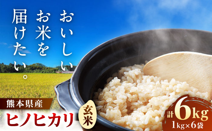 【先行予約】 ヒノヒカリ　玄米 6㎏（1㎏×6袋） 【株式会社　岩下農園】 [ZFS004]