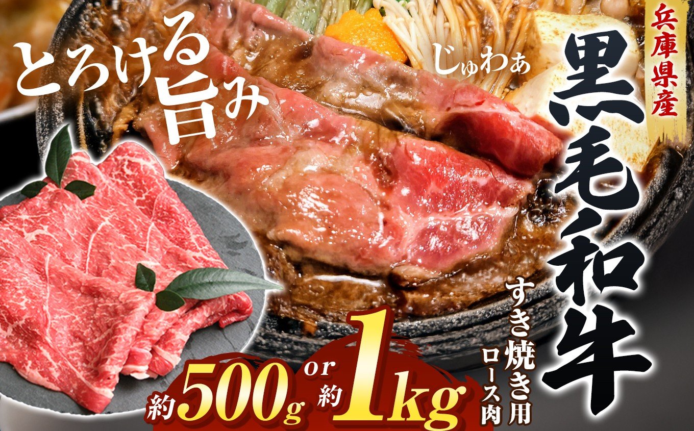 
            【選べる内容量】【牧場直売店】兵庫県産黒毛和牛すき焼き用ロース500g / 1kg Ι すき焼き すき焼き用肉 すき焼き用ロース 牛肉 肉 霜降り 黒毛和牛 ロース 和牛ロース 霜降りロース 国産牛 国産和牛 兵庫県産黒毛和牛 500g 1kg  牧場直売 兵庫県産 直営牧場 こだわり肥育 上質霜降り やわらか食感 高級牛肉 上質 和牛 旨味 柔らかい とろける旨味 家族向け 兵庫県 上郡町
          