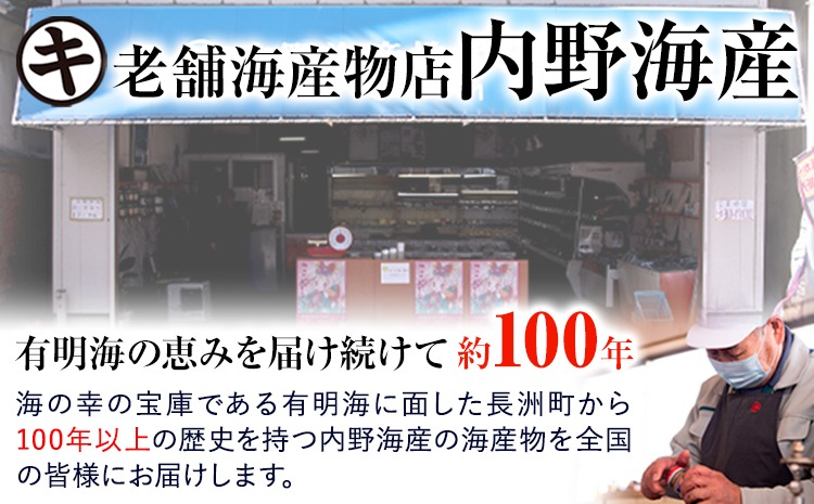 内野海産の海の幸セット 20個入り 《45日以内に出荷予定(土日祝除く)》あみ漬 いか 海苔 佃煮 塩辛 いかすみ---sn_cuchisaci20_45d_24_17500_800g---