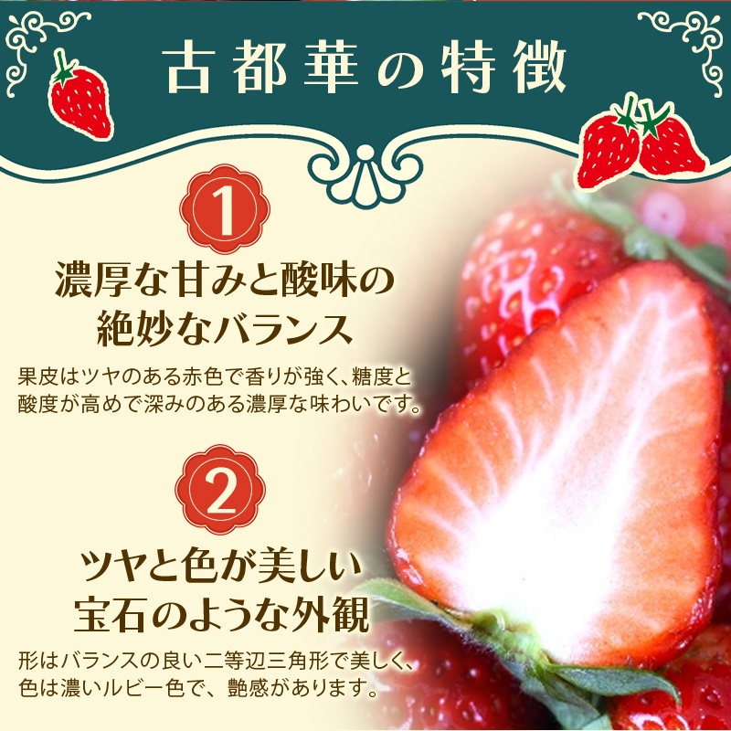 古都華 L～5Lサイズ 270g×4パック ／ 西田農園 ブランド いちご 苺 ことか フルーツ 果物 奈良県 葛城市