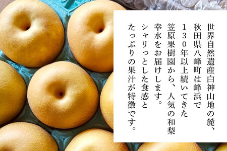 梨 幸水 5kg 白神山地の麓 峰浜の梨 笠原果樹園