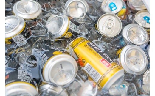 海の家 BBQ 利用券 4名様分 手ぶらでOK バーベキュー 江の島 エノシマ 江ノ島 利用券 券 アクティビティ レジャー 海 ばーべきゅー 水着 umi 肉 海鮮 旅行 日帰り うみ 海水浴 アウ