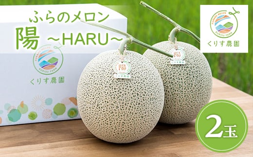 
            ＜2025年発送＞ふらのメロン「陽 ～HARU～」大玉(2.3kg以上)×2玉　(赤肉)富良野メロン【1478650】
          