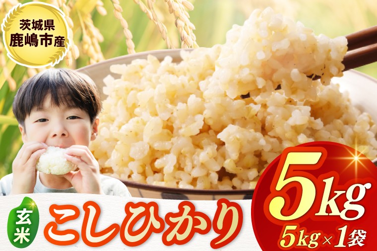 
            ★令和7年産米★ お米 コシヒカリ 玄米 5kg 鹿嶋市産【こしひかり 米 コメ ごはん ライス ブランド米 茨城県 鹿嶋市】(KBR-21)
          