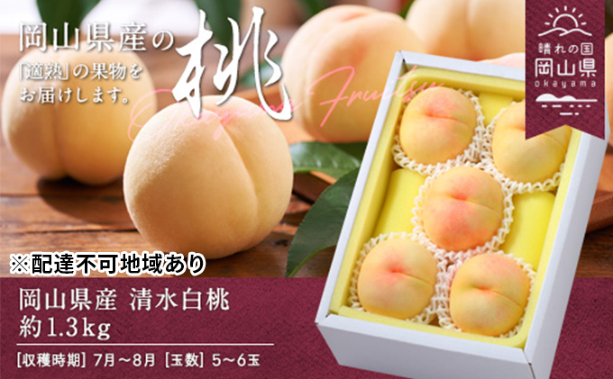 桃 2027年 先行予約 清水白桃 約1.3kg 5～6玉 もも モモ 岡山県産 国産 フルーツ 果物 ギフト