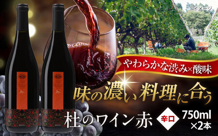 杜のワイン赤 2本セット ワイン ワイン ワイン ワイン 奥出雲葡萄園 [AICS060]