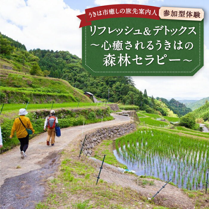 【ふるさと納税】〈選べるコース〉【参加型体験】リフレッシュ&デトックス 心癒されるうきはの森林セラピー・うきは市森林セラピー (森のティータイム付き) 2名様・うきは市森林セラピー (アロマスプレーづくり付き) 2名様 ハイキング チケット 送料無料 福岡県 うきは市