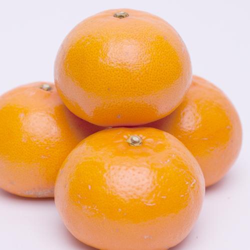 ［先行予約］家庭用 せとか2.5kg+250g（傷み補償分）［柑橘・春みかんの王様］［わけあり・訳あり］［光センサー選果・食べ頃出荷］［IKE62］