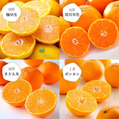 ふるさと納税 八幡浜市 【発送月固定定期便】愛媛の人気品種を厳選! みかん定期便(秀品)全8回【H25-116】 |  | 01