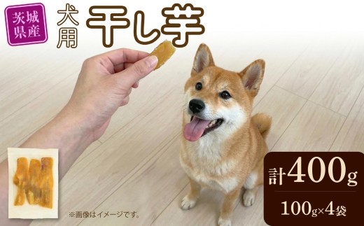 犬用 干し芋 シロタ 100g × 4袋 ドックフード ペットフード 犬 国産 茨城県産 砂糖不使用 保存料不使用 食物繊維 さつまいも 芋 おやつ 工場直送 塚田商店 スーパーツカダ 茨城 筑西 【2027年2月よりお申込み順に発送】