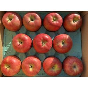 シャキシャキッ!完熟サンふじ 贈答用 約5kg【1558028】