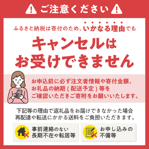 定期便 (全4回) 3か月毎発送 お茶農家 厳選 季節のお茶 四季のお茶 水野製茶 まるみず園 極上茶 極み 特上 ほうじ茶 ティーバッグ 家庭用 毎日の習慣 贅沢 こだわり ティータイム リラックス