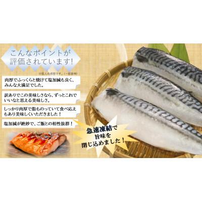 ふるさと納税 銚子市 【訳あり】塩鯖(冷凍) 約3.5kg　銚子東洋のフィレ規格外　 |  | 03