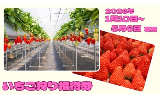 7-N10　喬木村いちご狩り招待券 1人分