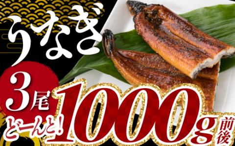A1526.2025.02《7/31丑の日までにお届け！！》うなぎの蒲焼３尾（計１，０００ｇ前後）
