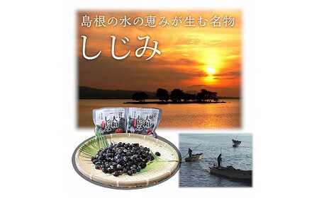 宍道湖産冷凍しじみ【1-028】
