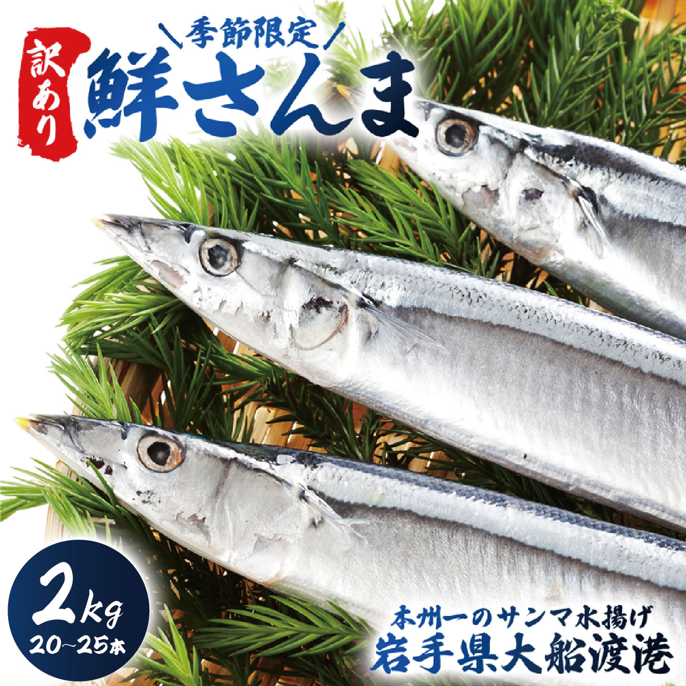 【 2026年 先行予約 】訳あり 鮮さんま 2kg 20~25本 大船渡産 岩手 さかな おさかな 魚 鮮魚 新鮮 生魚 焼き魚 FISH ごはん 夕飯 おかず おつまみ 晩酌 米 丼 海産物 海鮮 魚介 魚介類 大船渡 三陸 岩手県 国産 ごはん 夕飯 おかず 米 丼 三陸 10000円 1万円