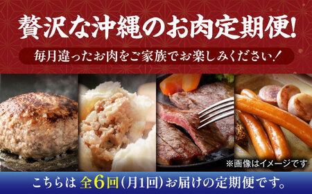 【全6回定期便】沖縄のお肉贅沢セット ハンバーグ あぐー 石垣牛 ステーキ 焼肉 冷凍